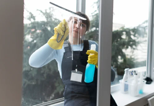 Nettoyage de vitres intérieures et extérieures à Noé